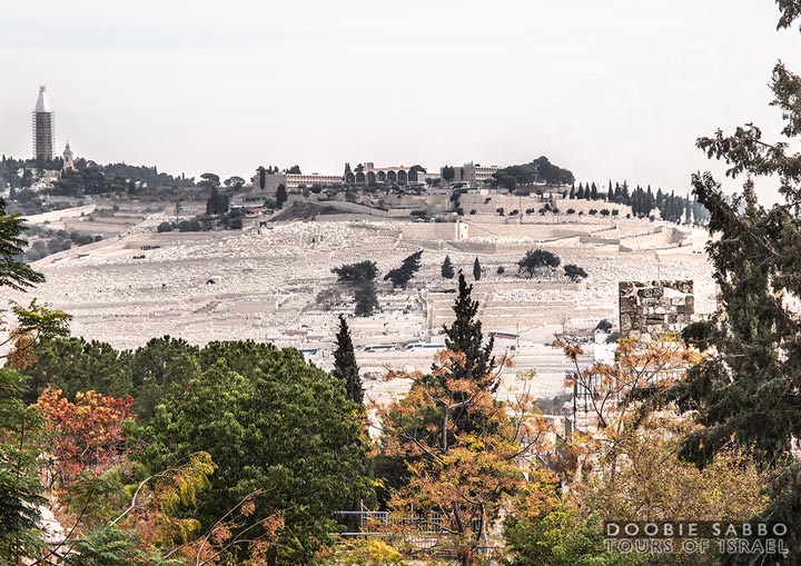 The Mount of Olives.